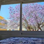 Blife Farensya Private Rooms